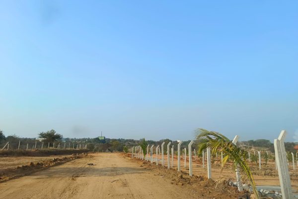 whatsapp image 2026 03 20 at 12.21.31 pm