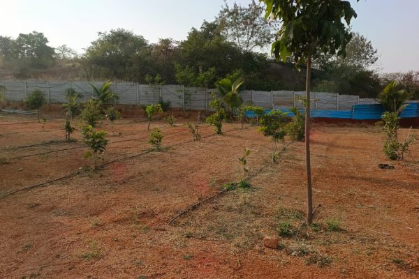 whatsapp image 2026 03 20 at 12.21.55 pm (3)