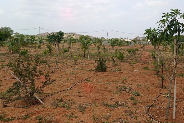 whatsapp image 2026 03 20 at 12.28.30 pm (1)